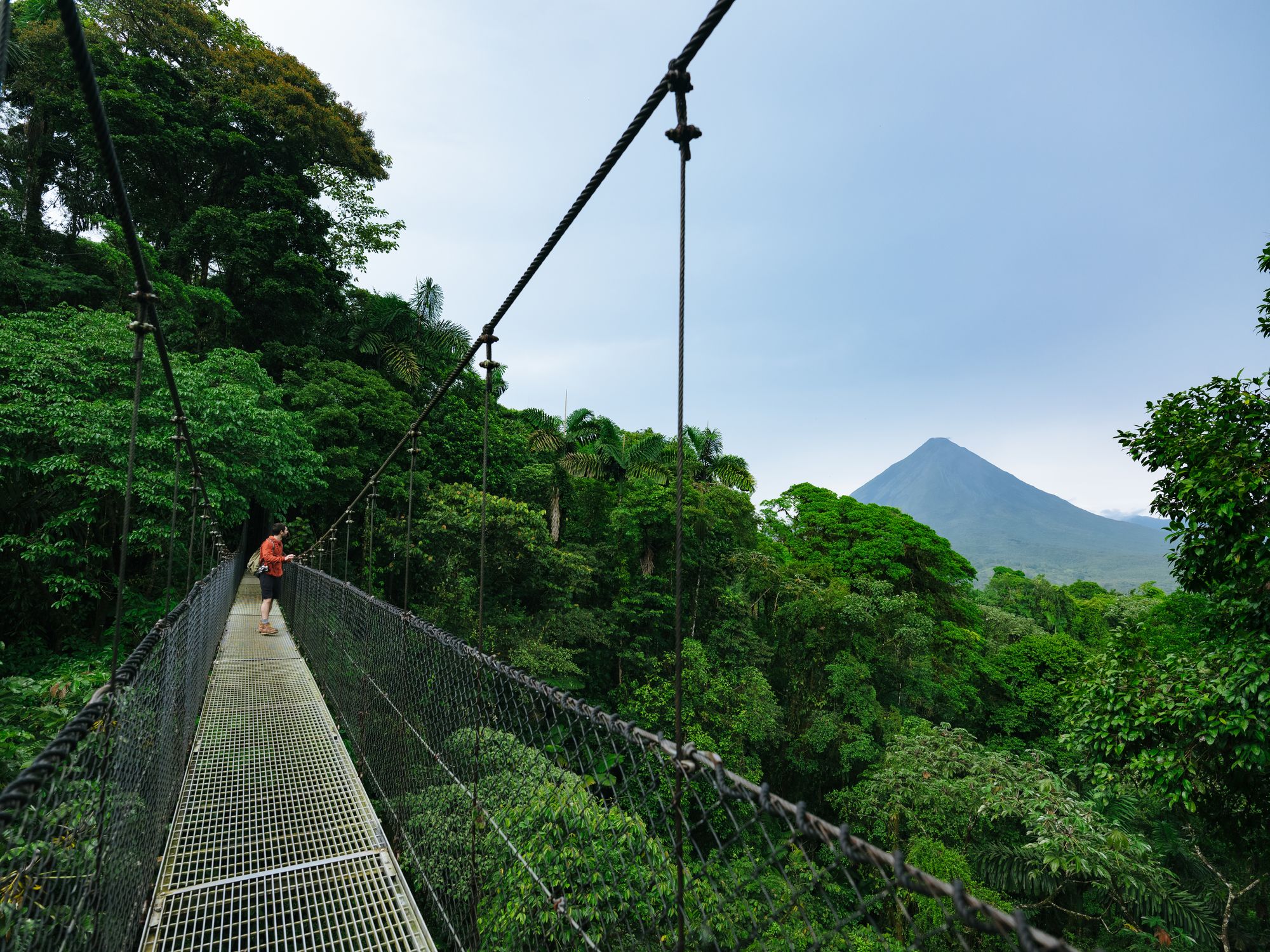 From volcanoes and jungles to jaguars and sea turtles: get back to ...