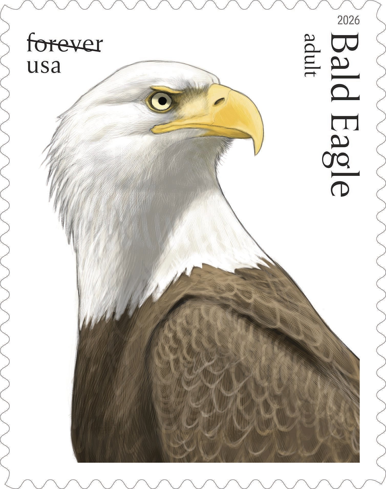 The bald eagle has been a national emblem since Congress adopted the Great Seal in 1782