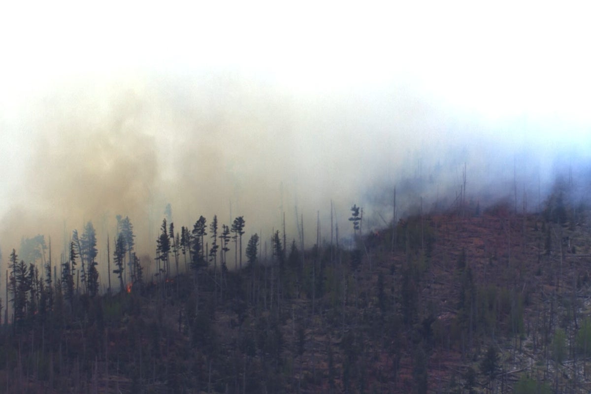 Small medical plane crashes in New Mexico mountains, killing all 4 people aboard – UK Times