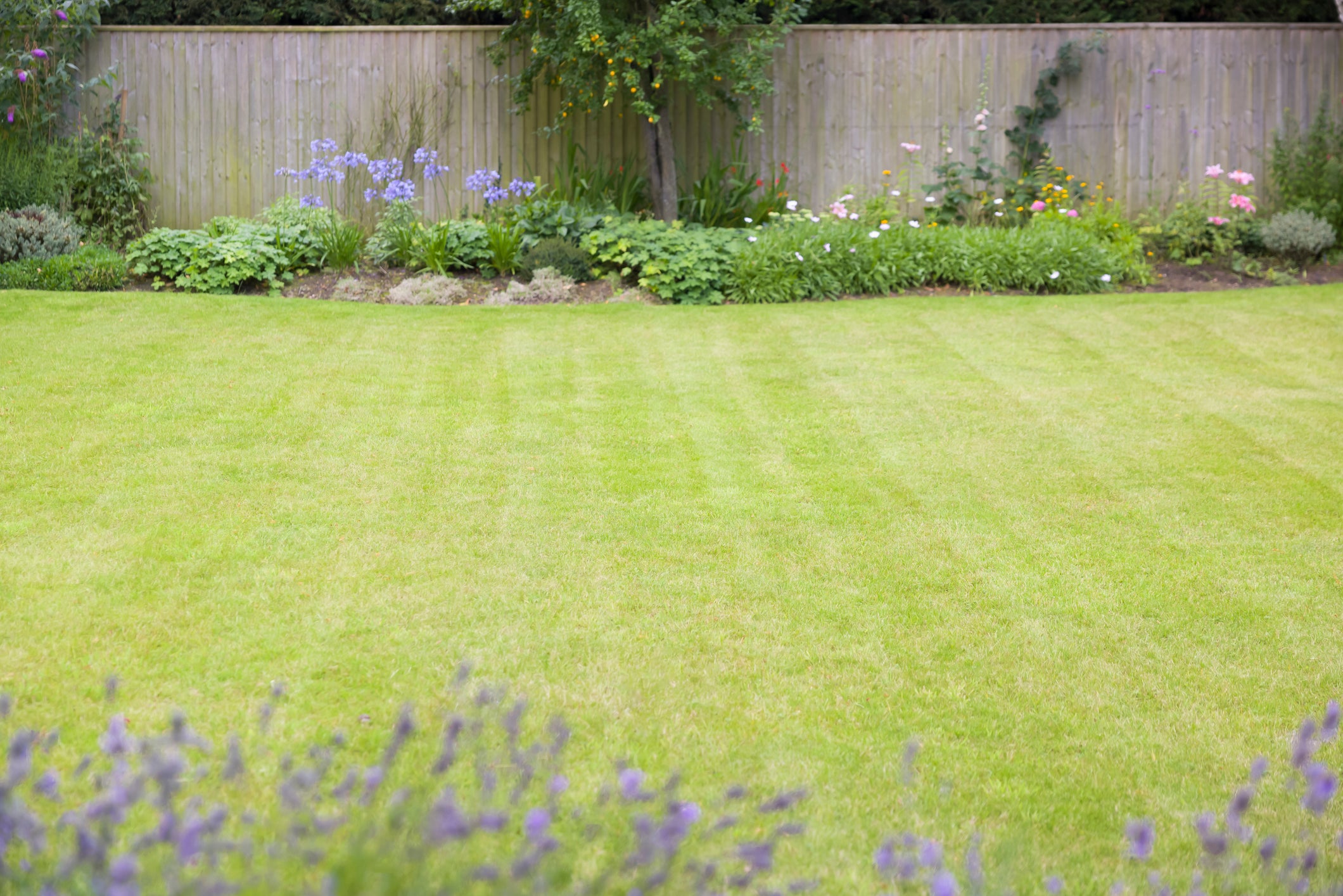 The micro-cut approach explains why robotic lawn mowers are quietly becoming one of gardening’s fastest-growing trends