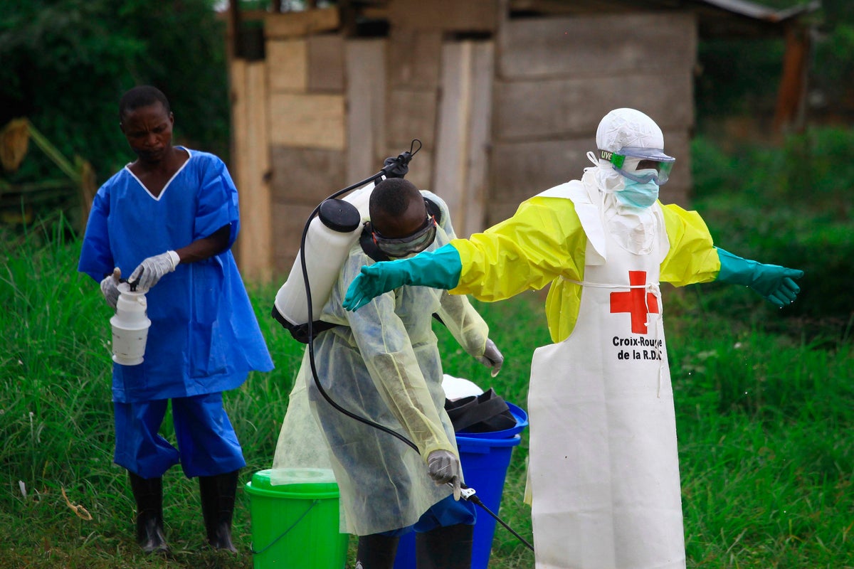 New Ebola outbreak confirmed in the Congo with 65 deaths and hundreds of infections