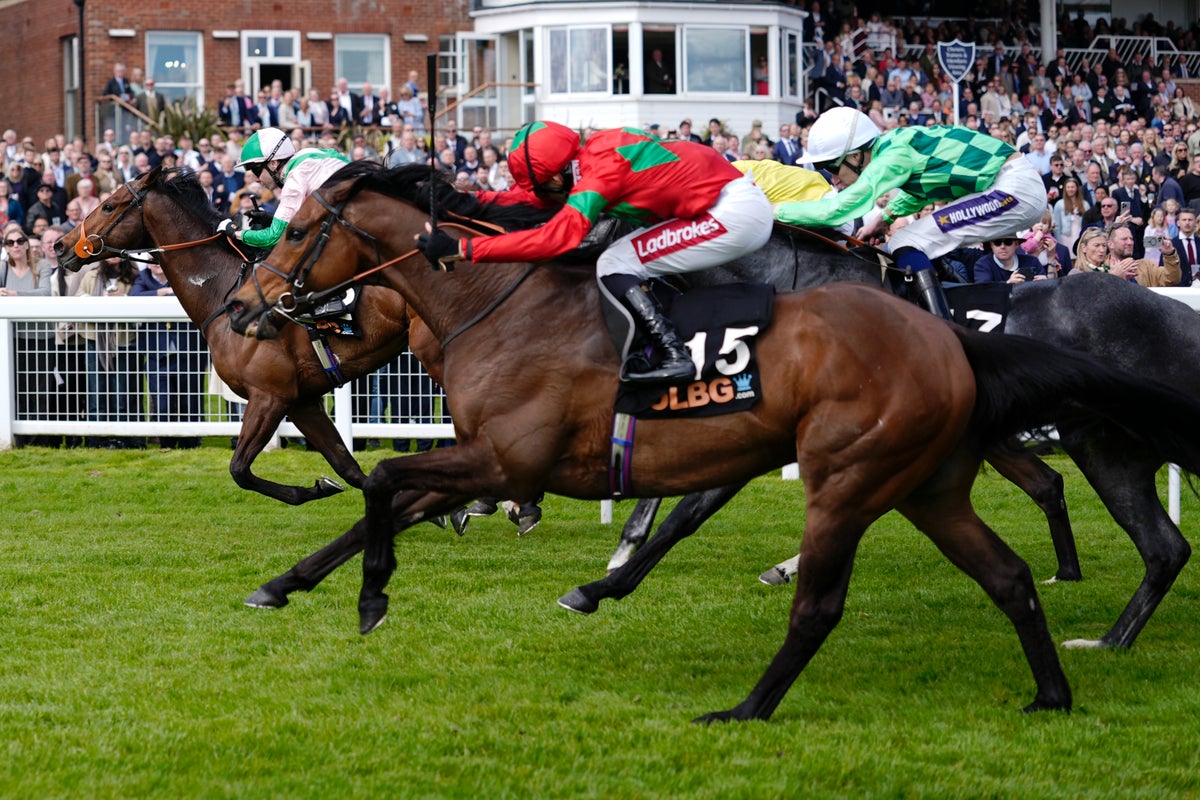 Saturday Racing Tips | Best Bets For Newbury & Newmarket