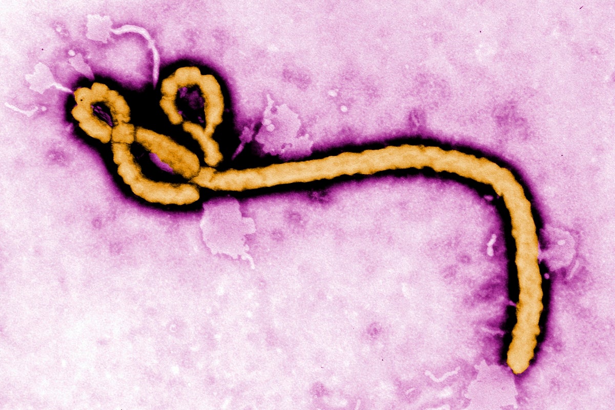 Americans in Congo feared exposed to deadly Ebola outbreak – UK Times Americans in Congo feared exposed to deadly Ebola outbreak – UK Times