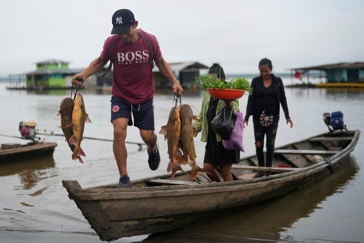 Scientists find climate change is reducing oxygen in rivers worldwide