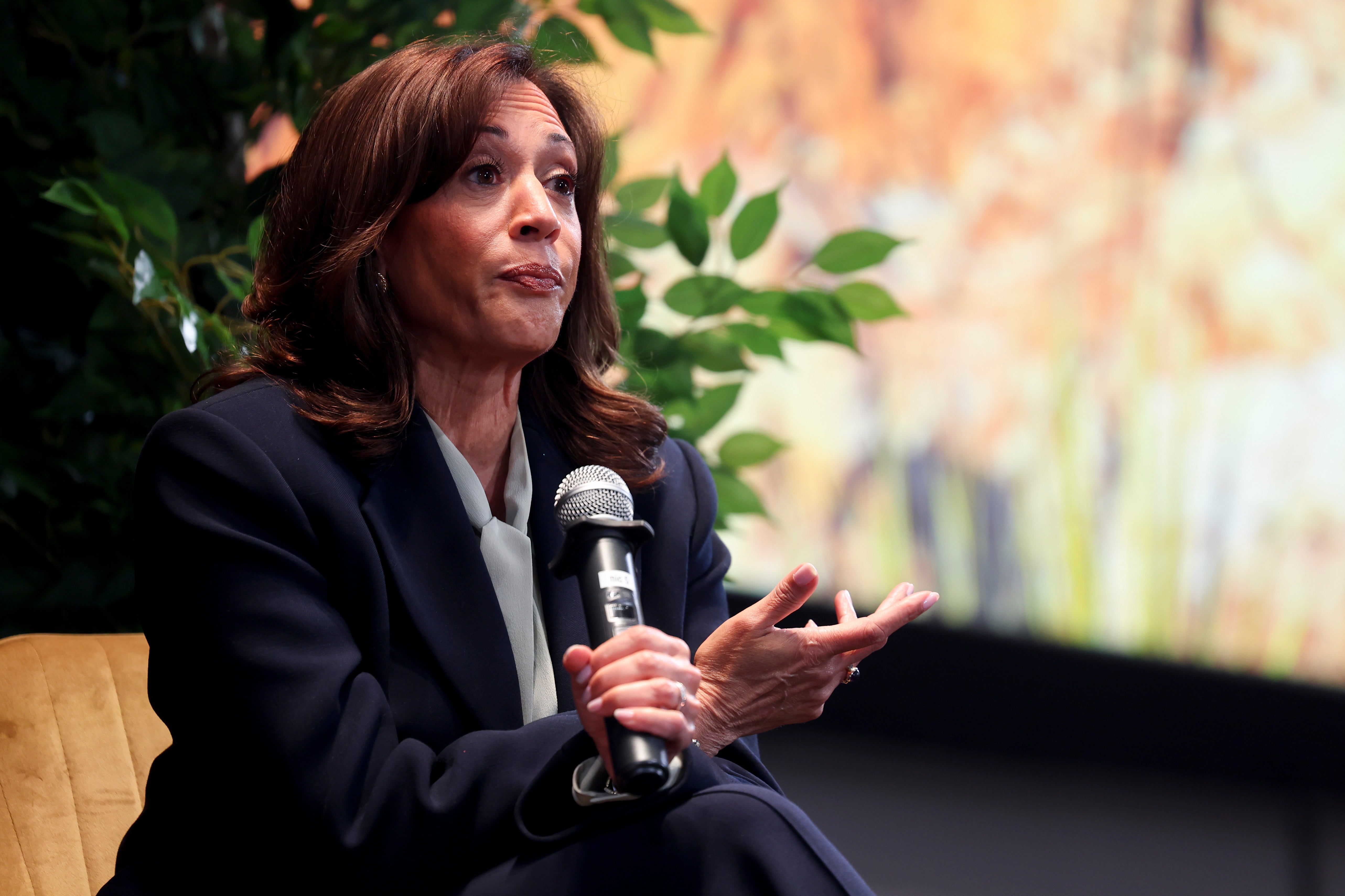 Former vice president Kamala Harris has blasted the Supreme Court’s decision to allow states to dismantle Black-majority districts, saying the move allowed Republicans to ‘cheat’ ahead of midterm elections