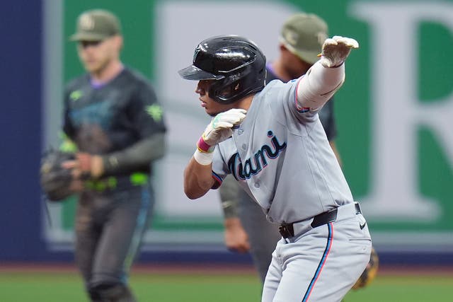 MARLINS-RAYS