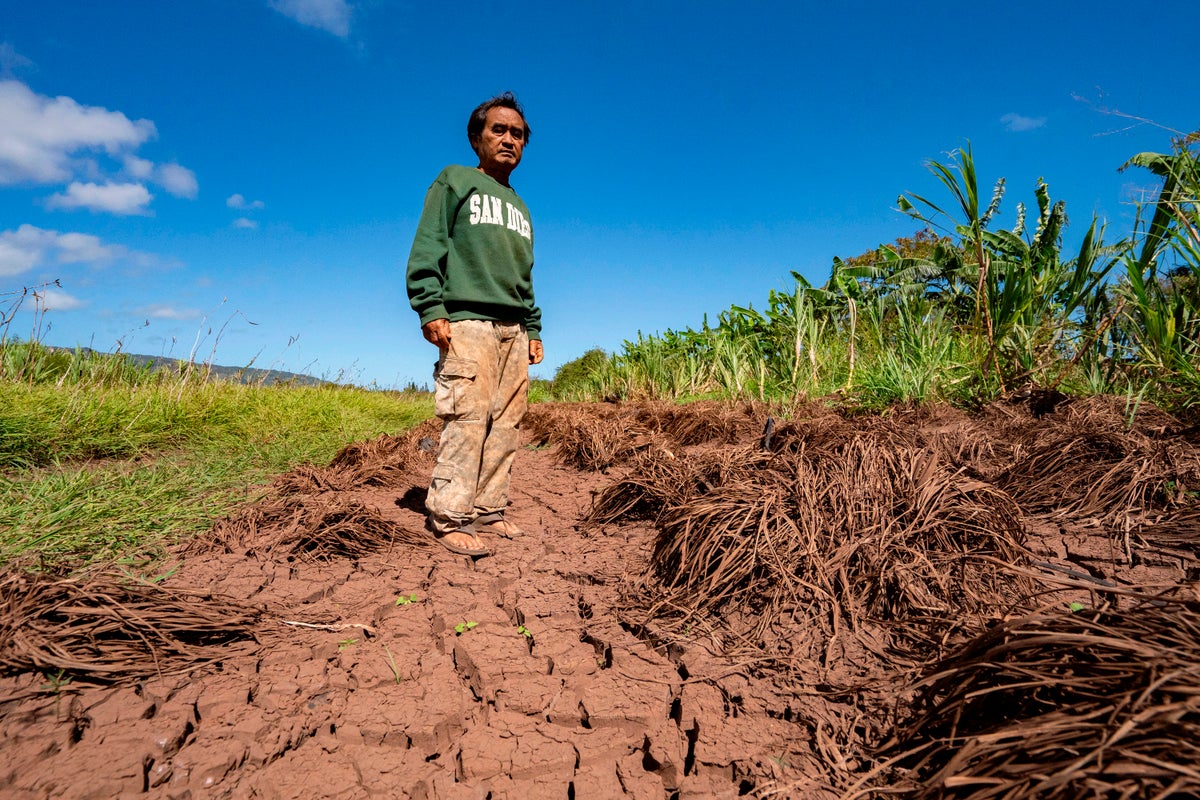 Hawaii’s worst flooding in 20 years leaves farmers struggling and fewer veggies at the market – UK Times