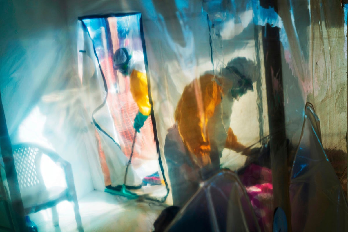 I’m a microbiologist. Here’s what we know about the Ebola outbreak in West Africa – UK Times I’m a microbiologist. Here’s what we know about the Ebola outbreak in West Africa – UK Times