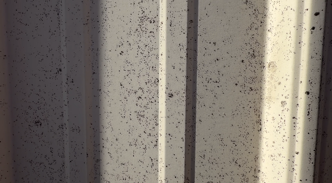 https://static.independent.co.uk/2026/05/17/20/26/black-dust-Oklahoma-town.png?trim=0,58,0,56&width=1200&height=800&crop=1200:800