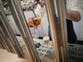 French people drinking more beer than wine for first time as cost of living soars