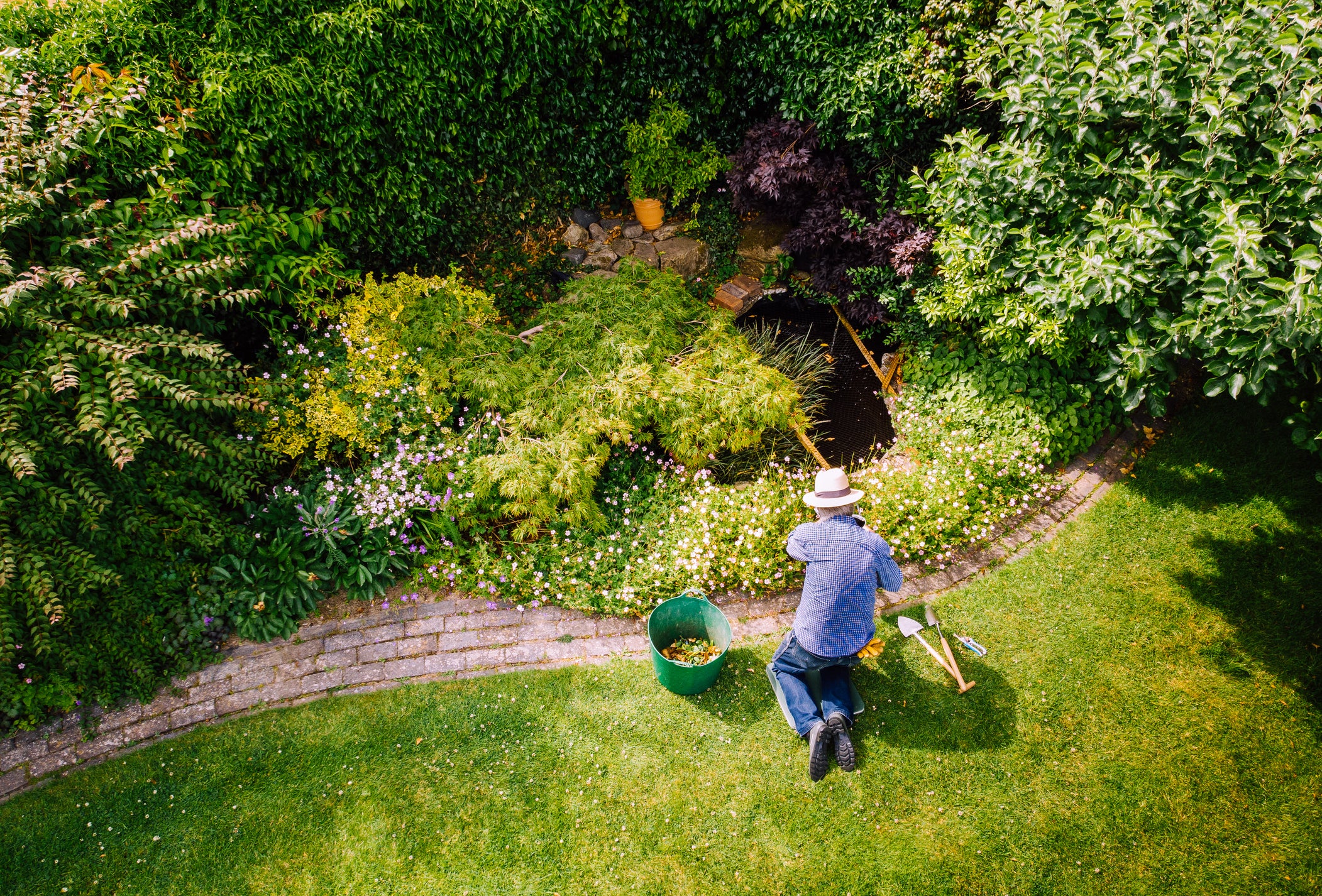 Slow gardening embraces technology, robotic mowers can help you save time while improving your lawn