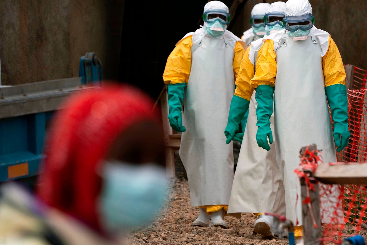 US and UK aid cuts amplifying ‘dangerous’ threat of Ebola – UK Times US and UK aid cuts amplifying ‘dangerous’ threat of Ebola – UK Times