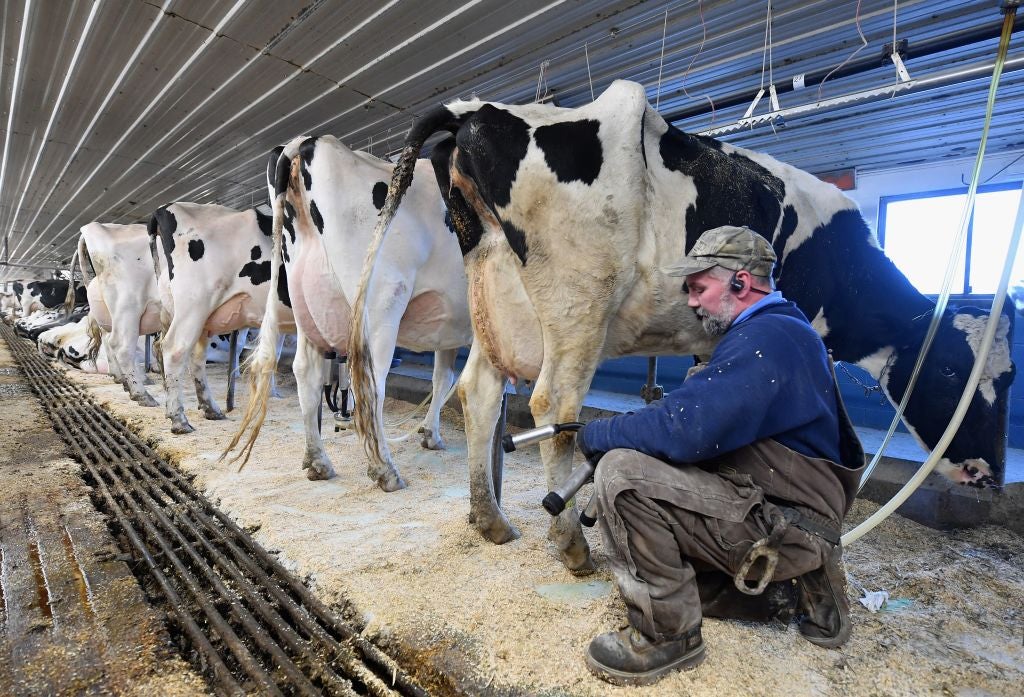 Dairy cows have been producing plenty of milk, but increased demand abroad and at home have driven up prices, one expert said