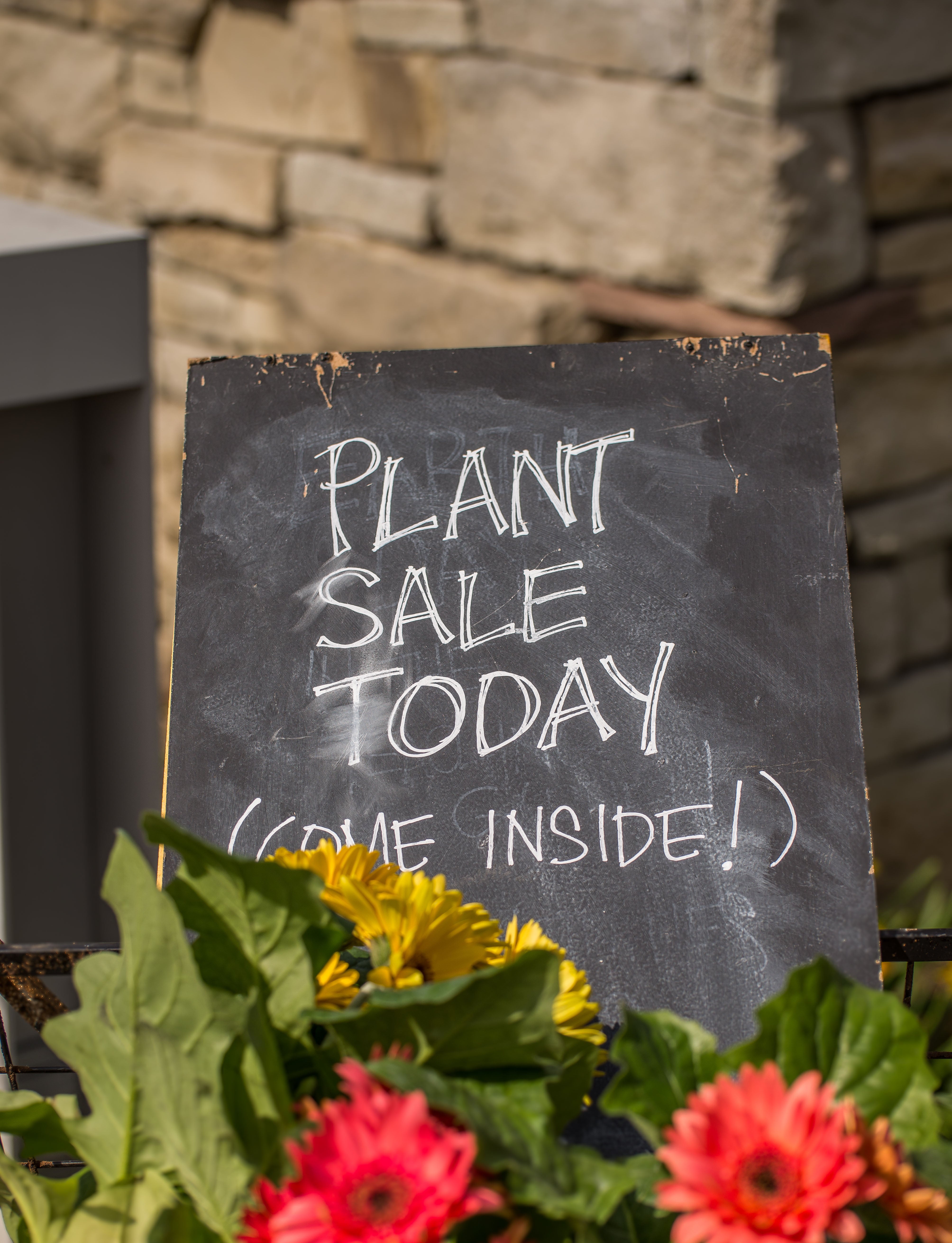 Picking a range of plants is key