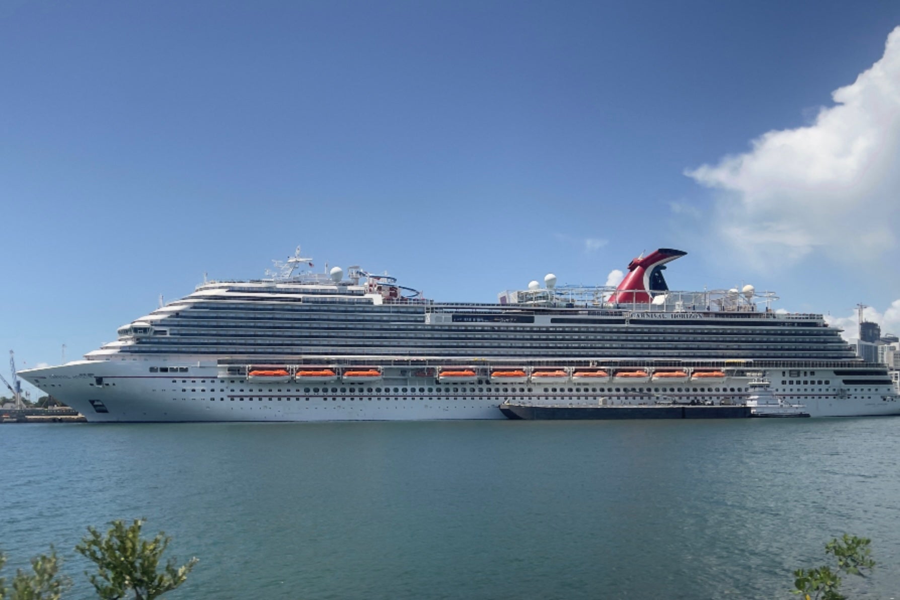 Anna Kepner, 18, was found dead on Carnival Cruise Line’s Horizon ship last November and her 16-year-old stepbrother has been charged with her murder