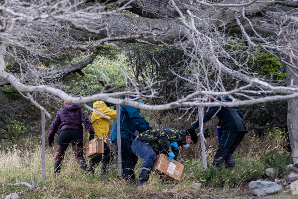 https://static.independent.co.uk/2026/05/19/21/Argentina_Hantavirus_91122.jpg?width=1200&height=800&crop=1200:800