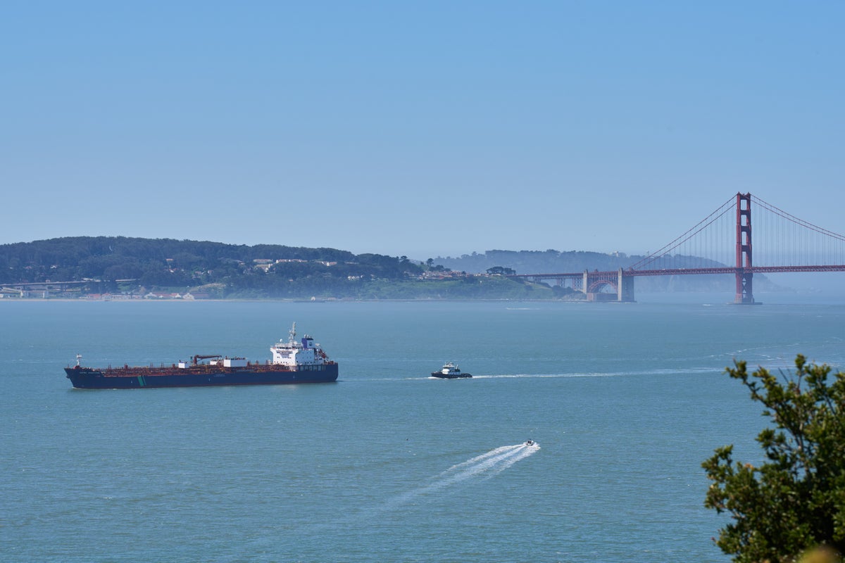 A new whale detection network launches in San Francisco Bay, alerting ships in real time