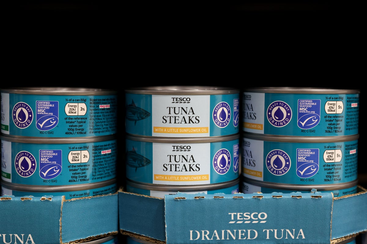 TikTok influencers help tinned fish scale ‘height of culinary fashion’