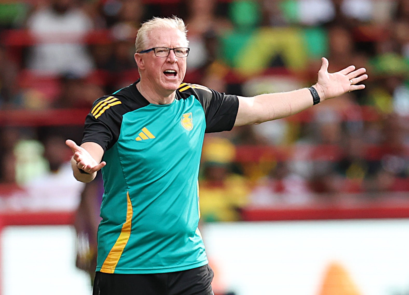 Steve McClaren left his role as Jamaica manager in November (Getty)