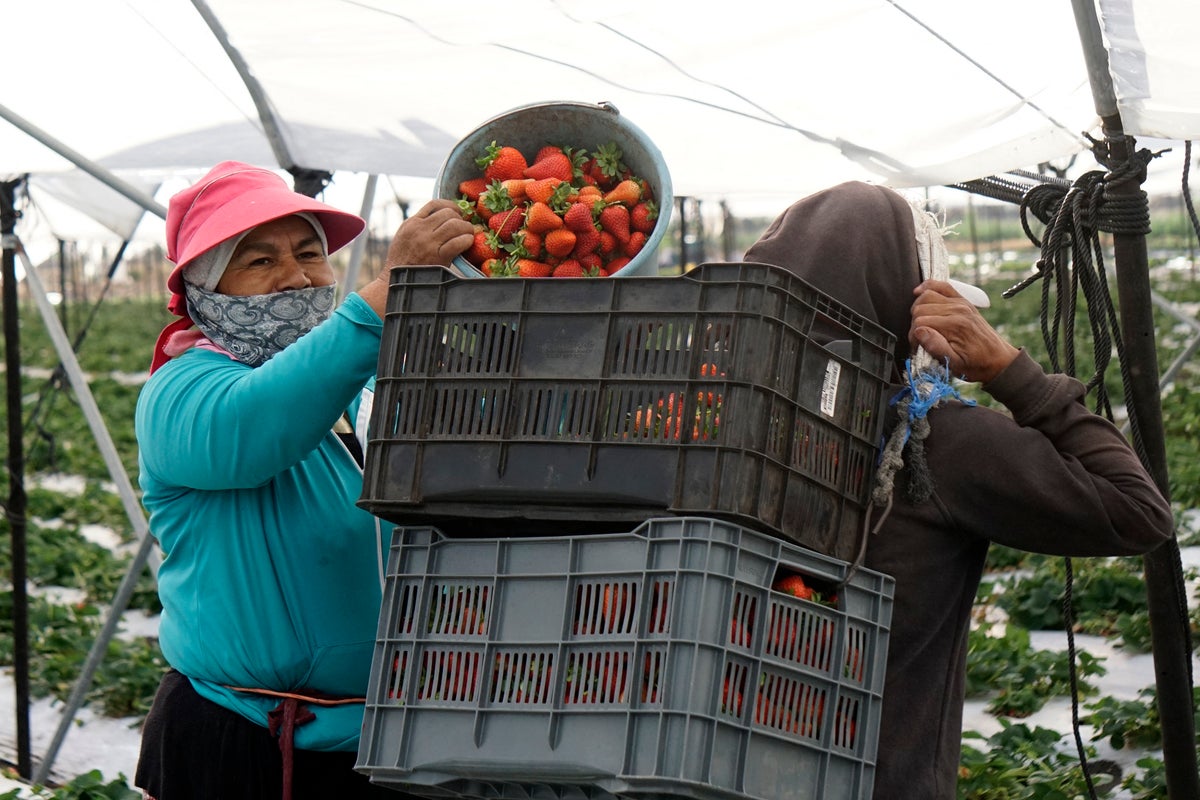 These popular household fruits are coated with the most pesticides and forever chemicals