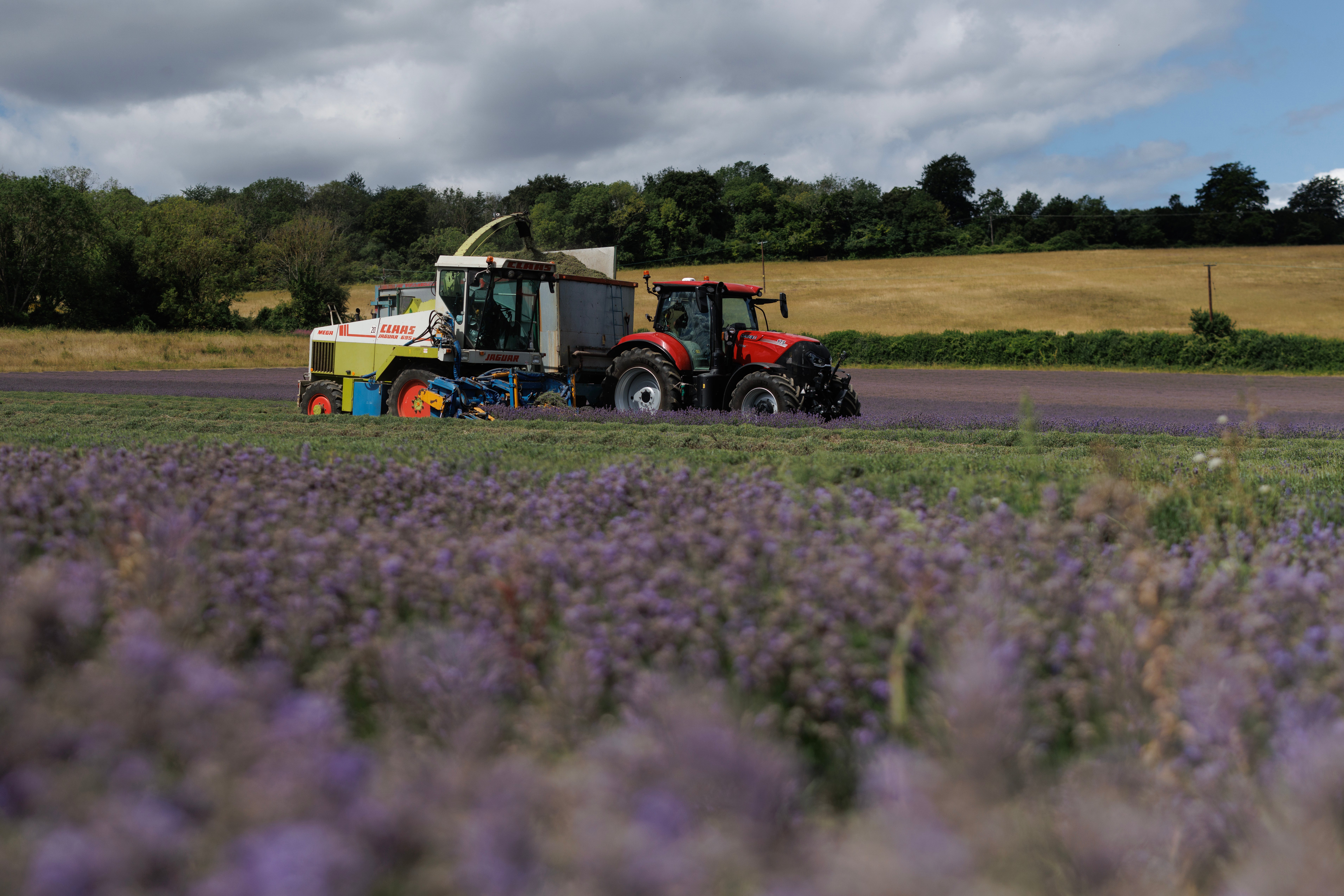 England already saw a dry start to spring in 2026