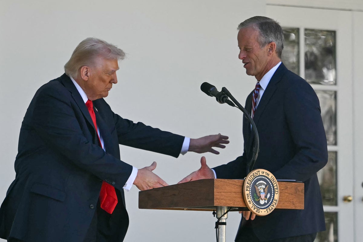 Trump warns &lsquo;soft&rsquo; GOP and Senate Leader Thune over Parliamentarian: &lsquo;You&rsquo;ll all be looking for a job&rsquo;