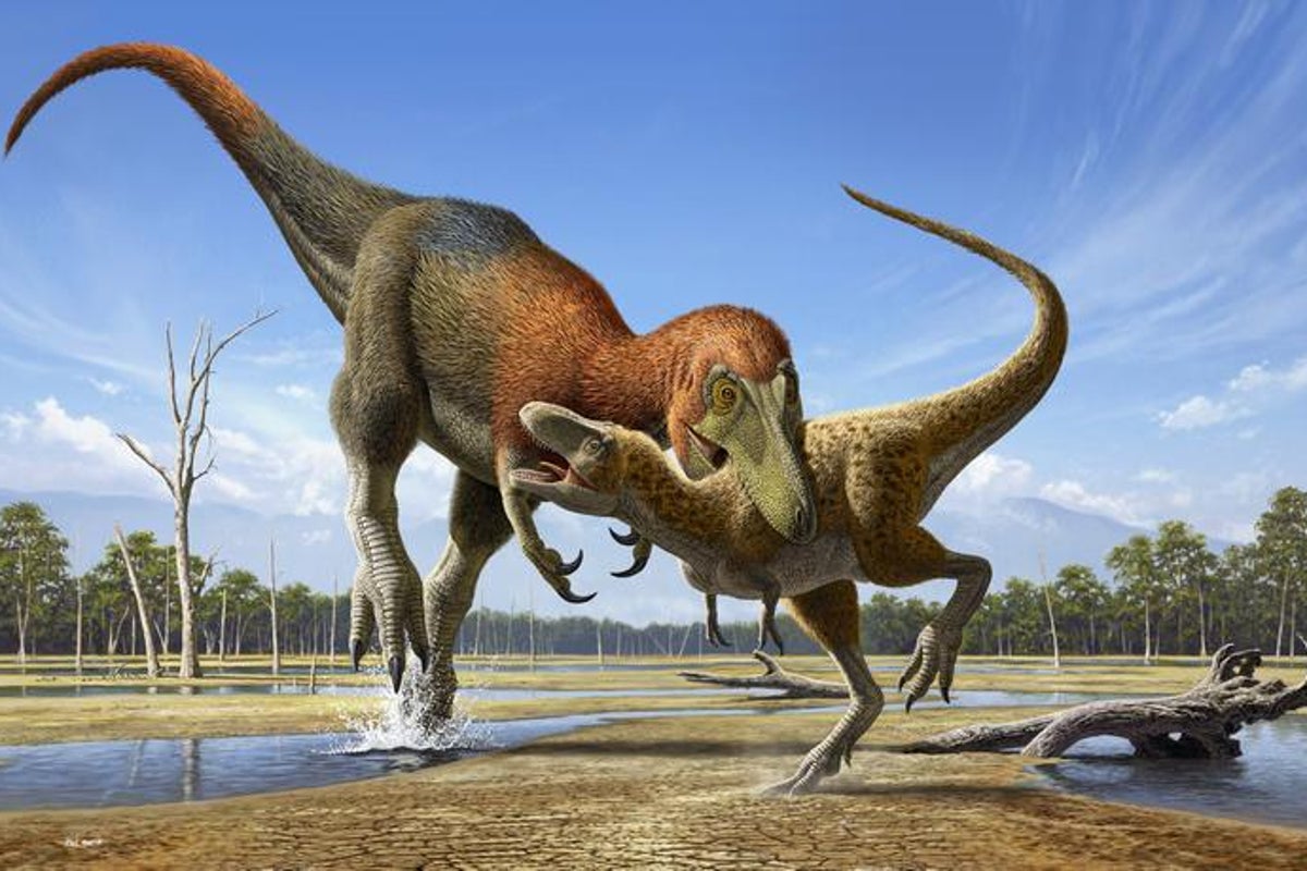 New study explains why T rex had such tiny arms: ‘The head took over’