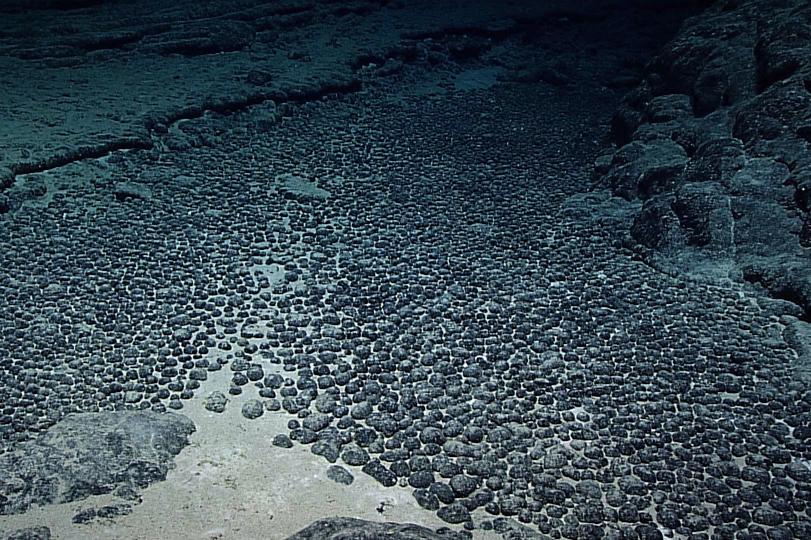 independent.co.uk - Helen Wieffering - Takeaways from AP's report on deep-sea mining