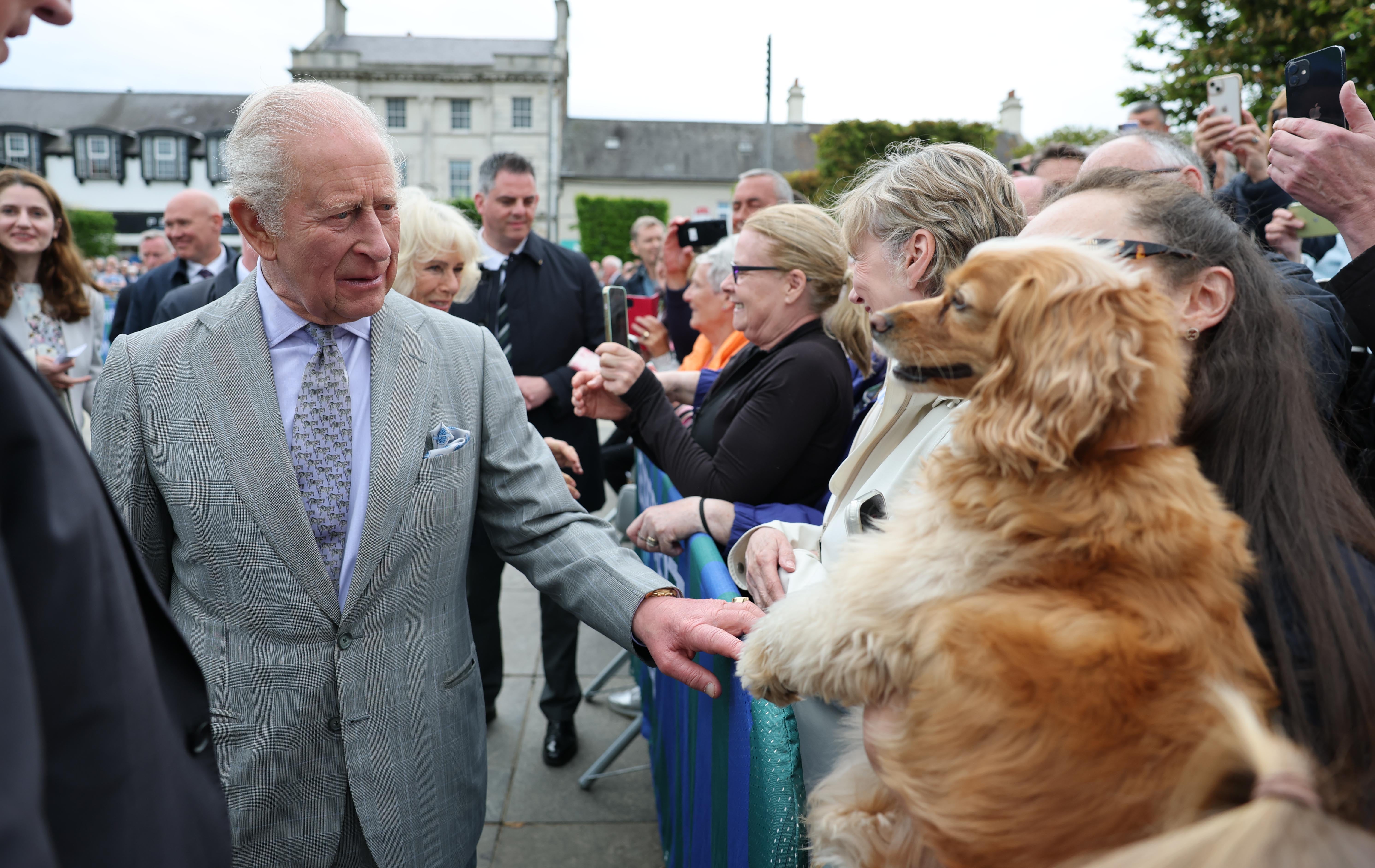 King Charles III speaks to a dog owner as he meets members of the public during a community celebration at the two-day festival in Conway Square, Newtownards, on day three of the royal visit to Northern Ireland. Picture date: Thursday May 21, 2026.