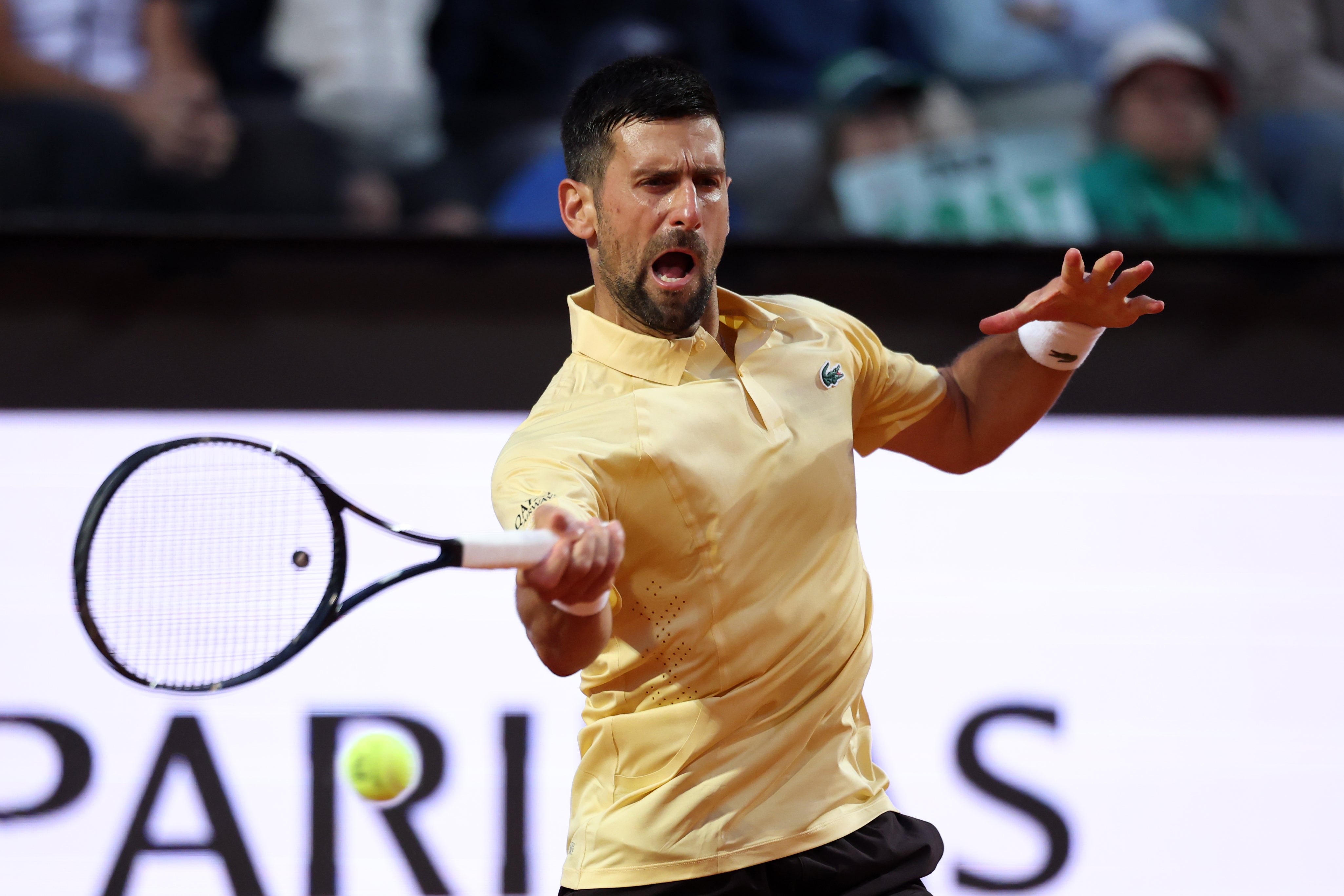 Novak Djokovic can only meet Sinner in the final having been placed on the opposite side of the draw