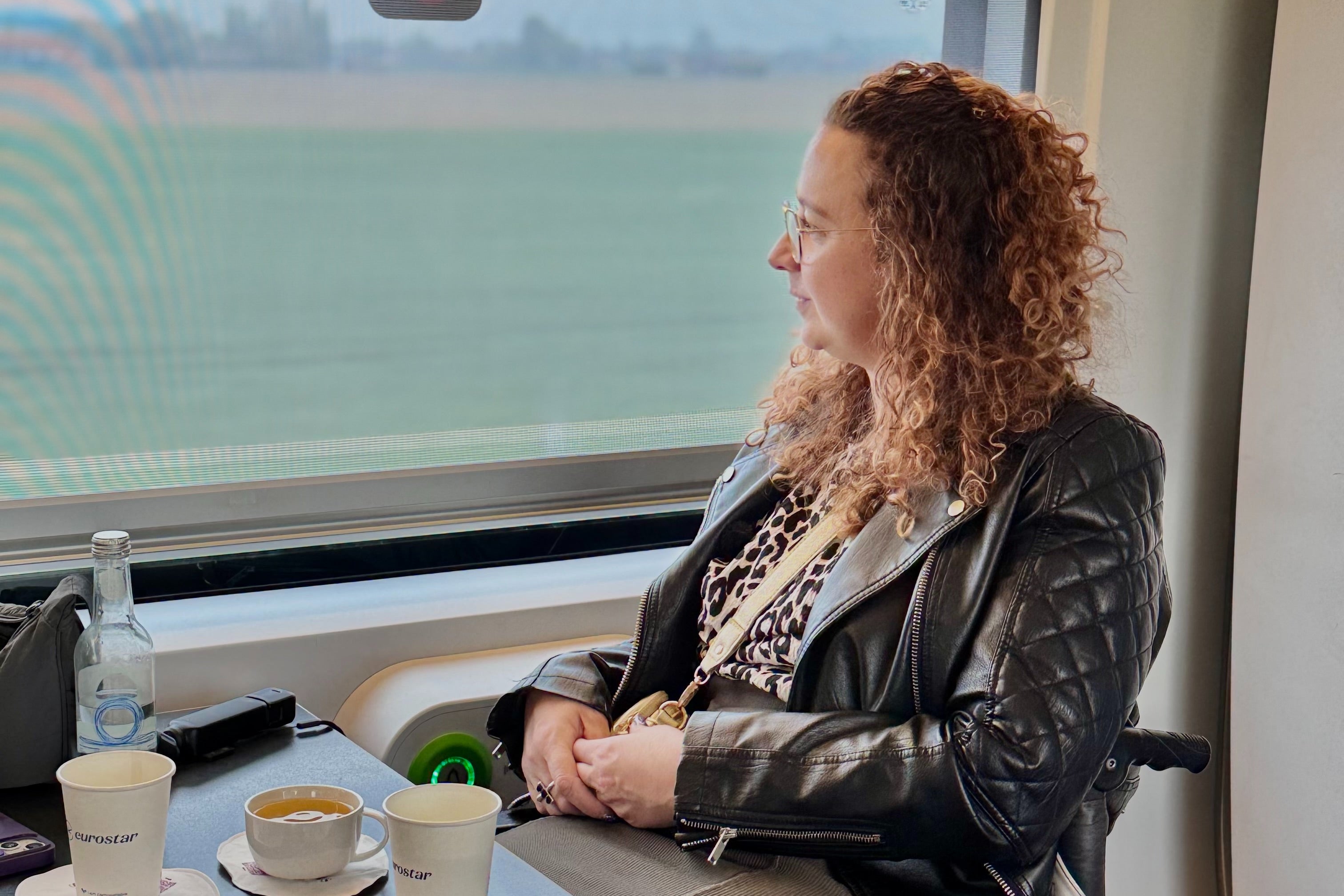 The wheelchair space on board the train is well-designed (Carrie-Ann Lightly)