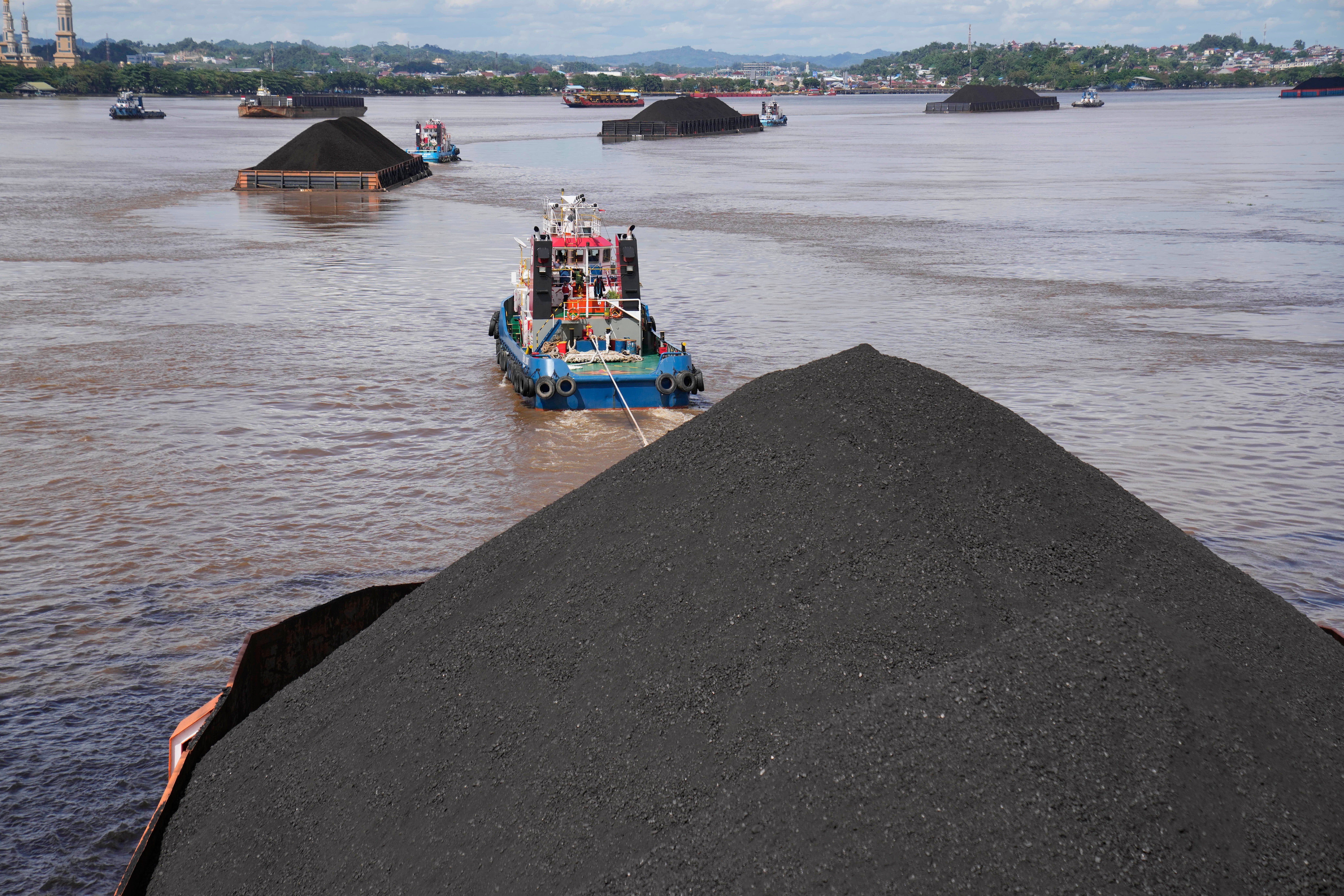 independent.co.uk - Edna Tarigan - Indonesia tightens control over key commodities in major trade takeover, influencing global exports
