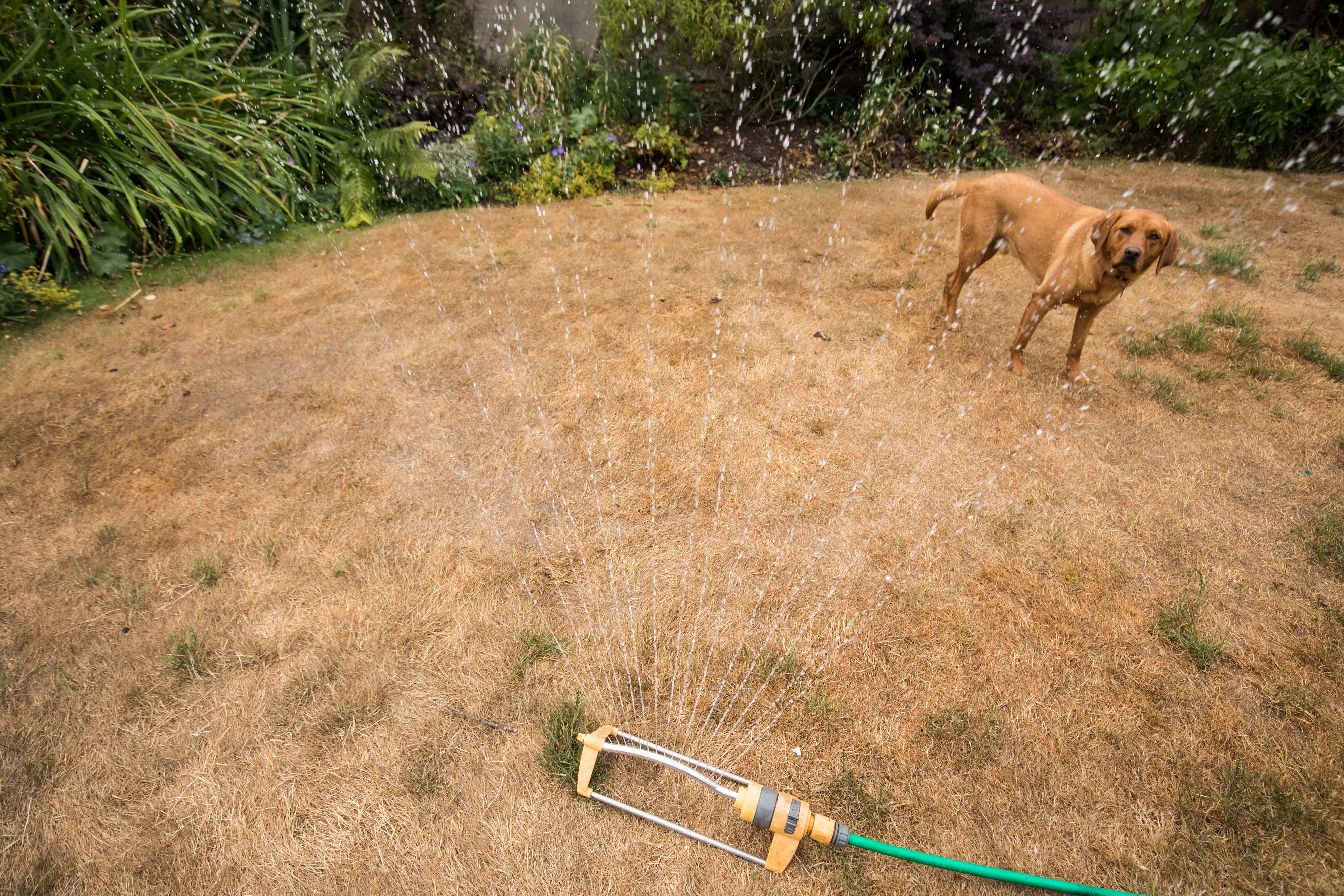 Millions of residents have been urged to scale back their water use