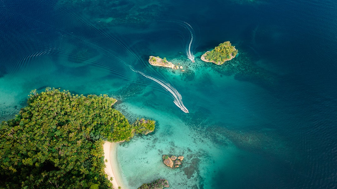 This West Papua cruise takes you to one of the most remote places in the world