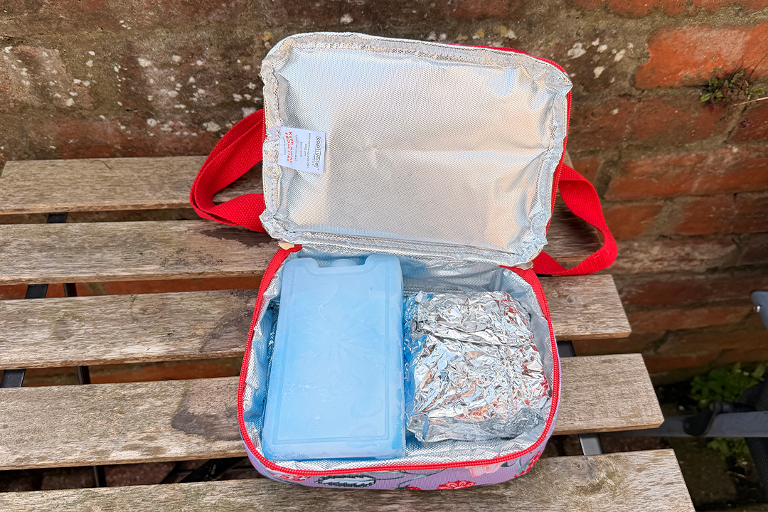 You can’t really use loose ice with this bag, so you will have to invest in some ice packs (Rachael Penn/The Independent)