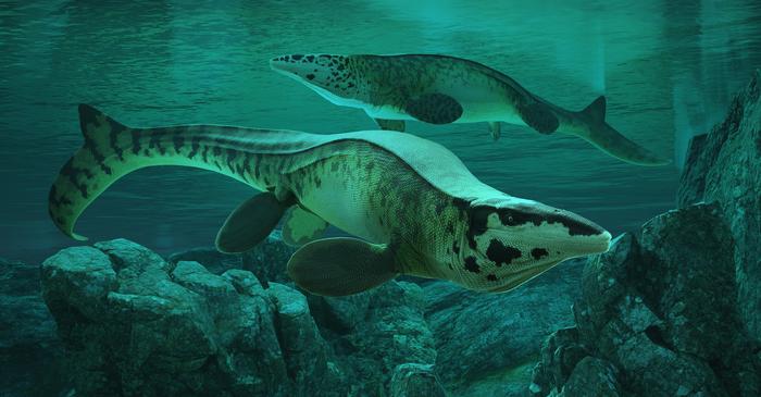 Tylosaurus rex reconstruction