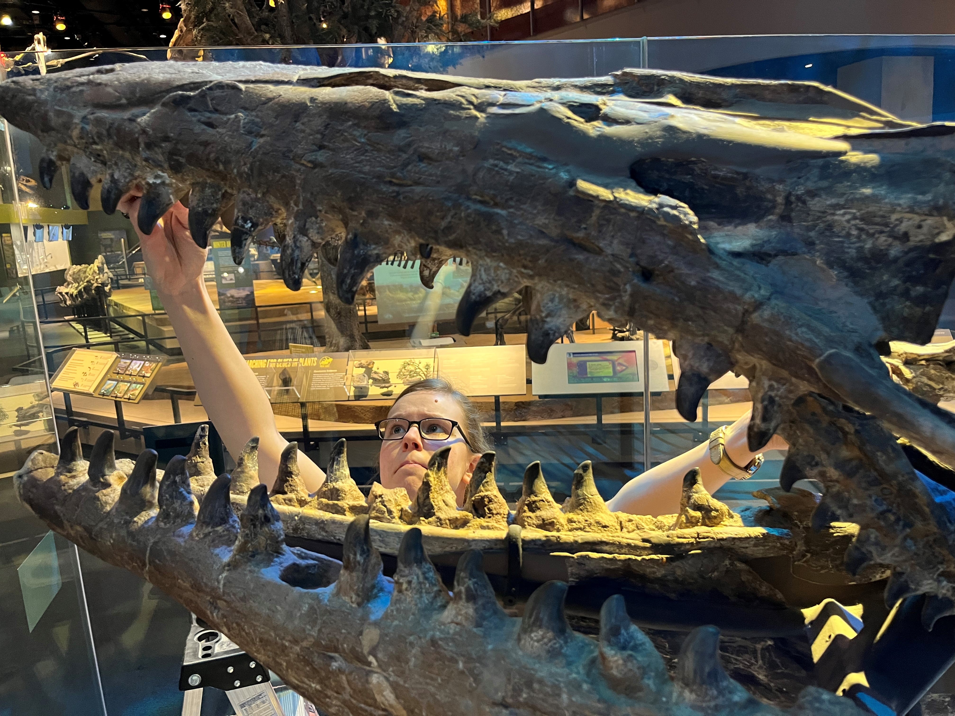 T rex