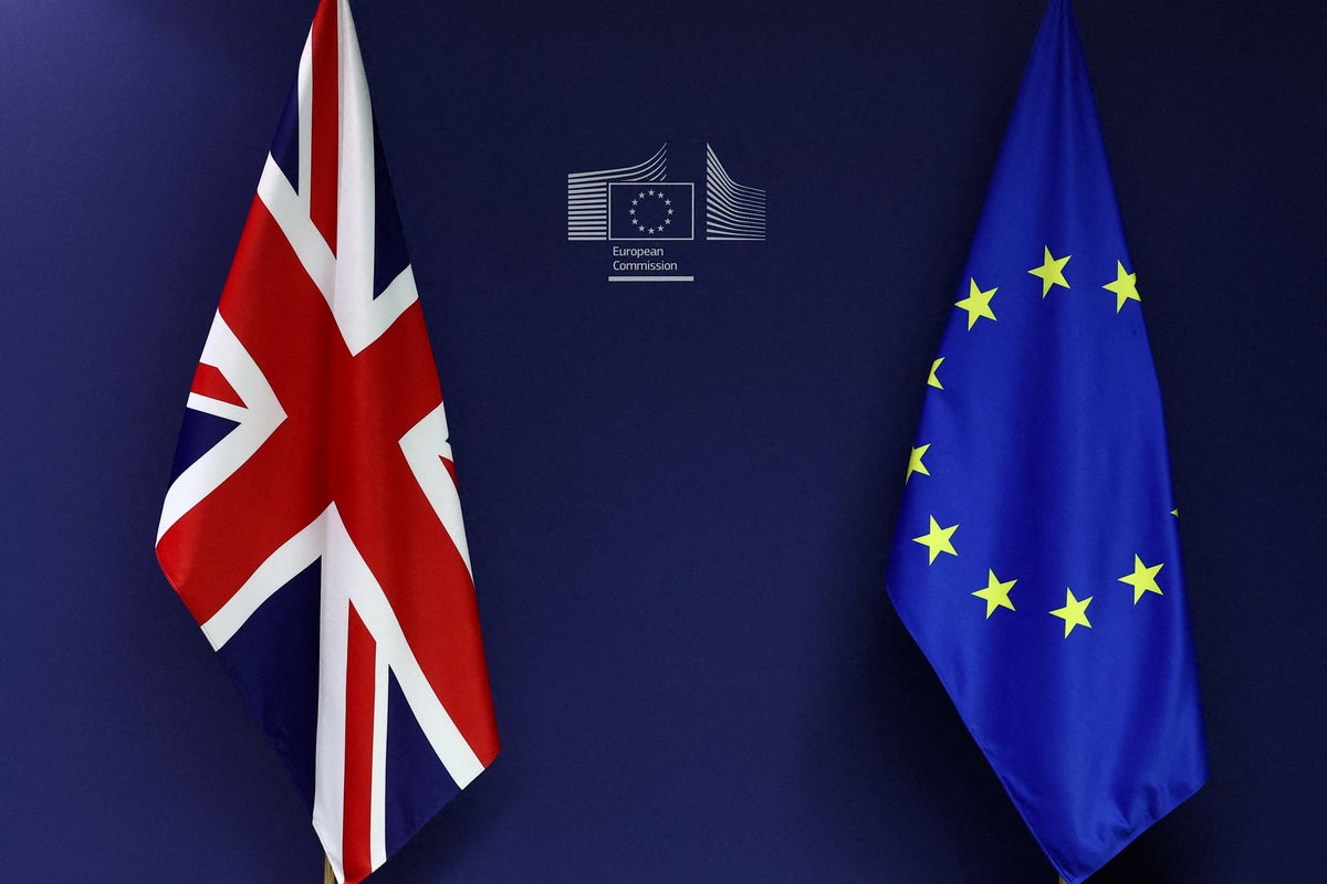 ‘They don’t want us’ is a bad argument against rejoining the EU