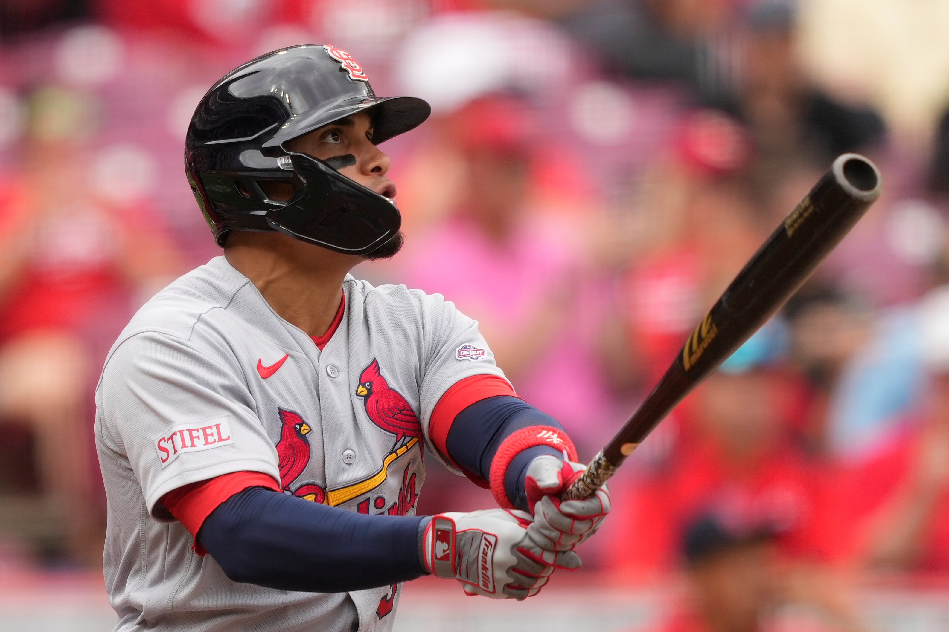 CARDENALES ROJOS