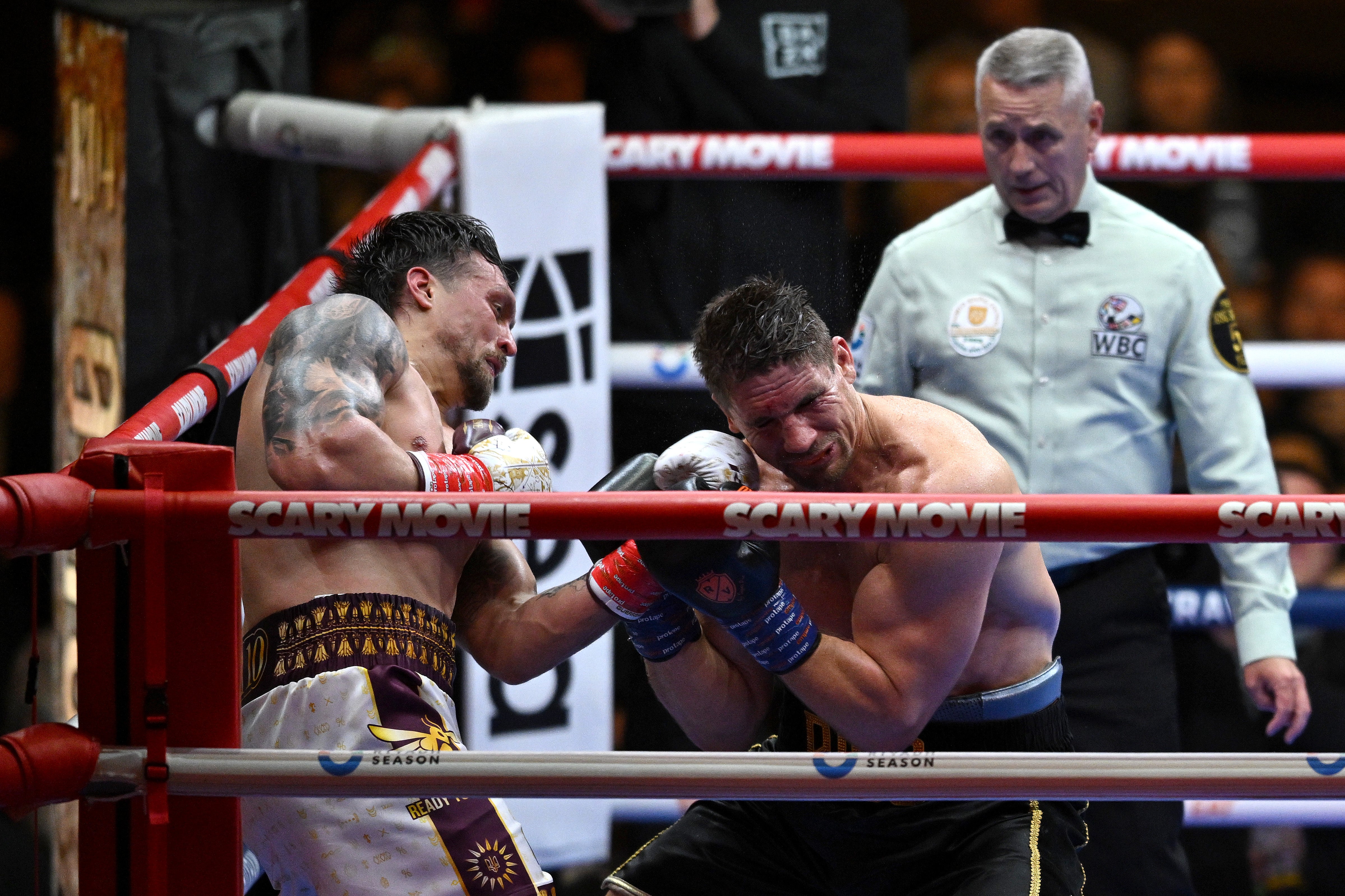 Oleksandr Usyk hurt Rico Verhoeven with an uppercut in the corner, just before the stoppage