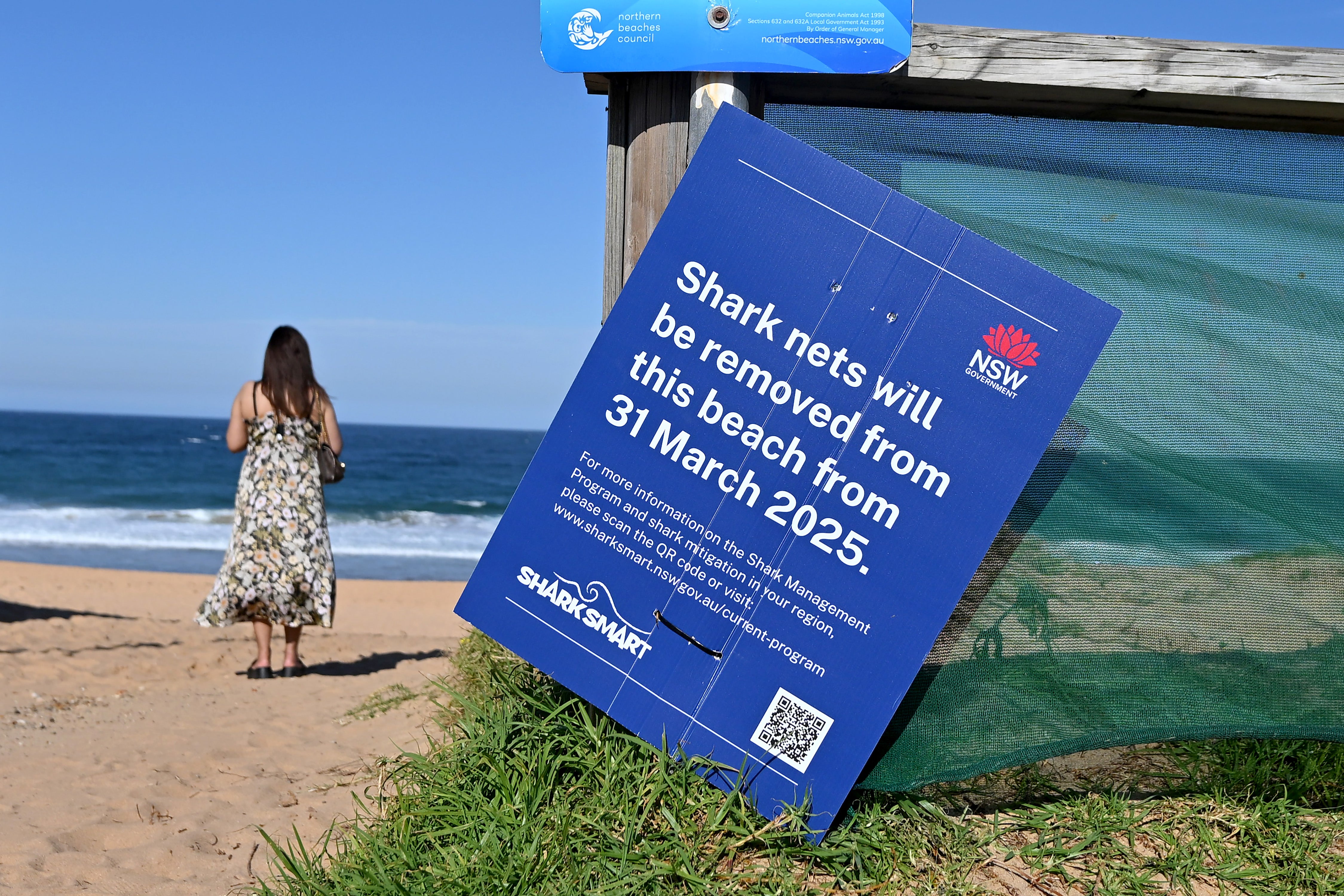 A sign about a planned removal of shark nets was spotted on North Narrabeen Beach