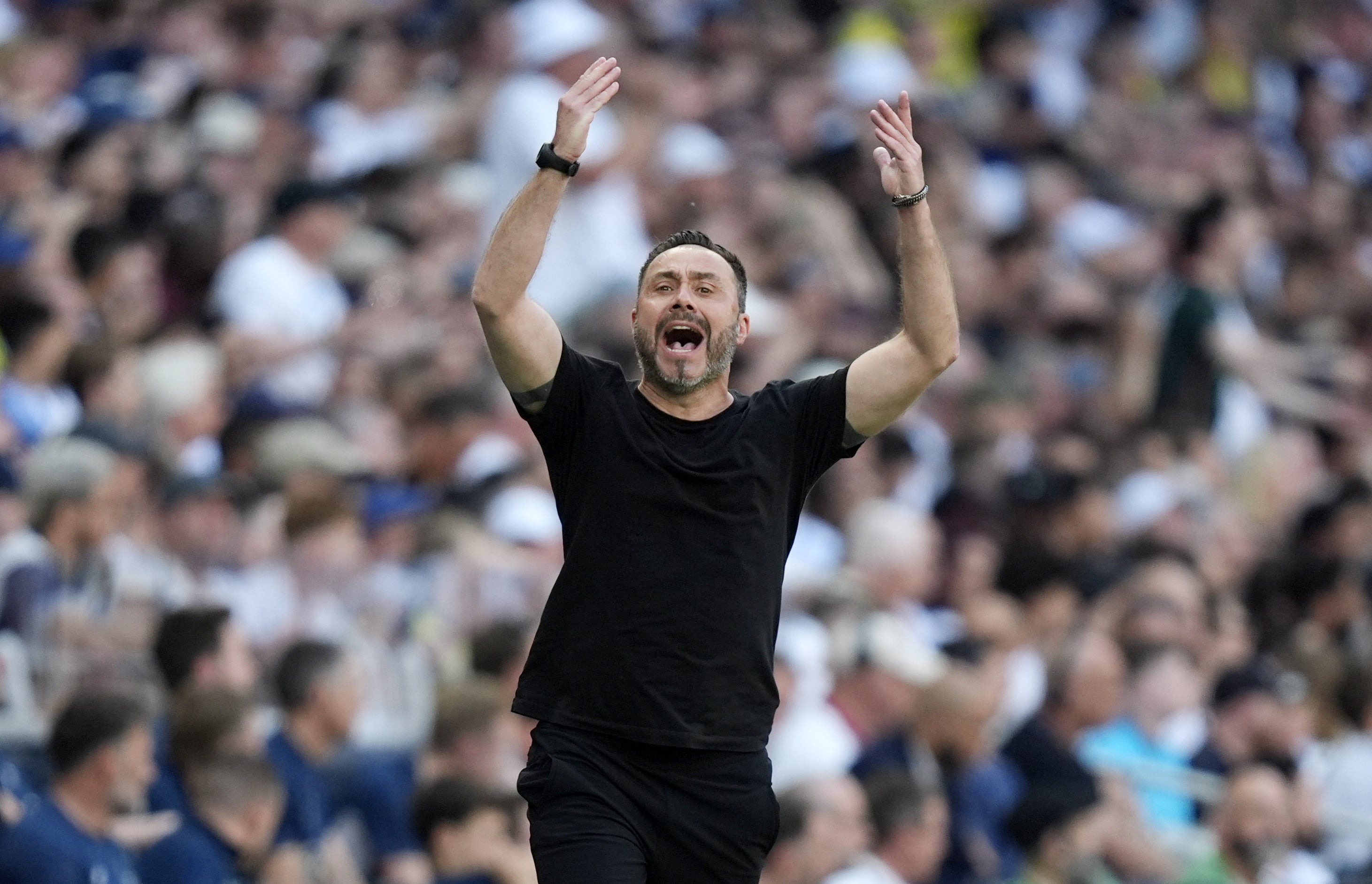 Roberto De Zerbi enjoyed the goal (Andrew Matthews/PA)
