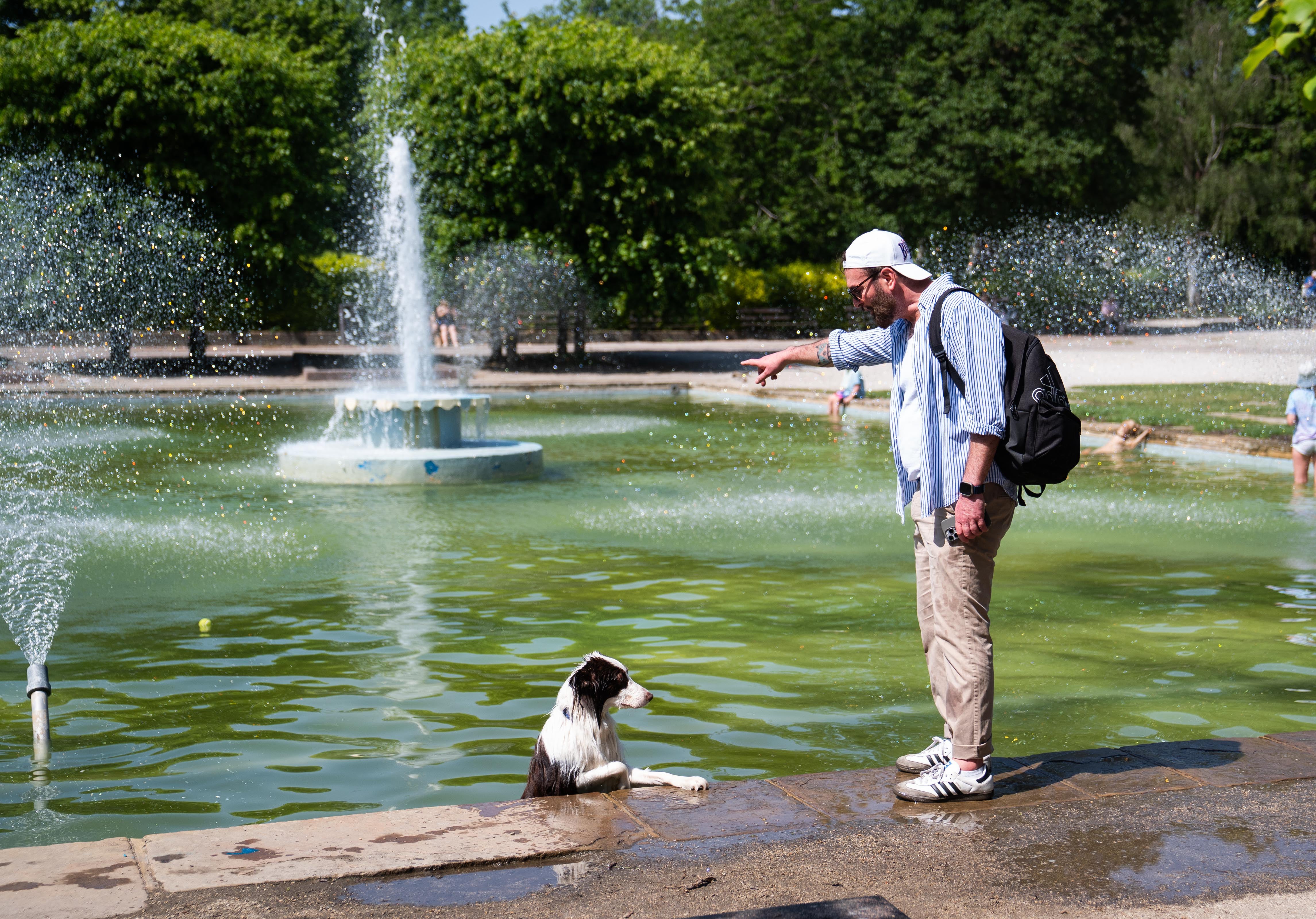 A dog cools off in the water fountains in Battersea Park, south-west London (James Manning/PA) (PA Wire)