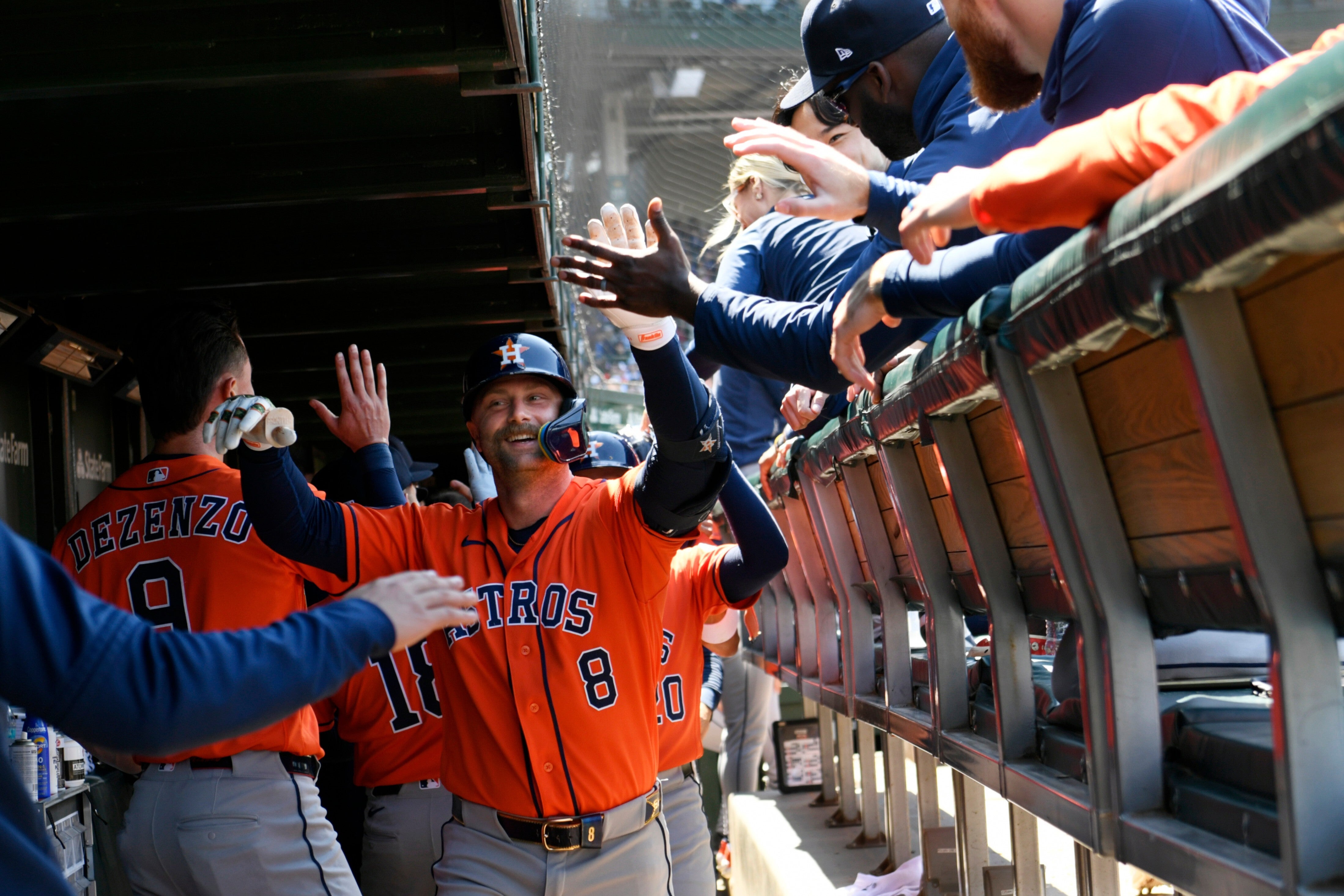 ASTROS-CACHORROS