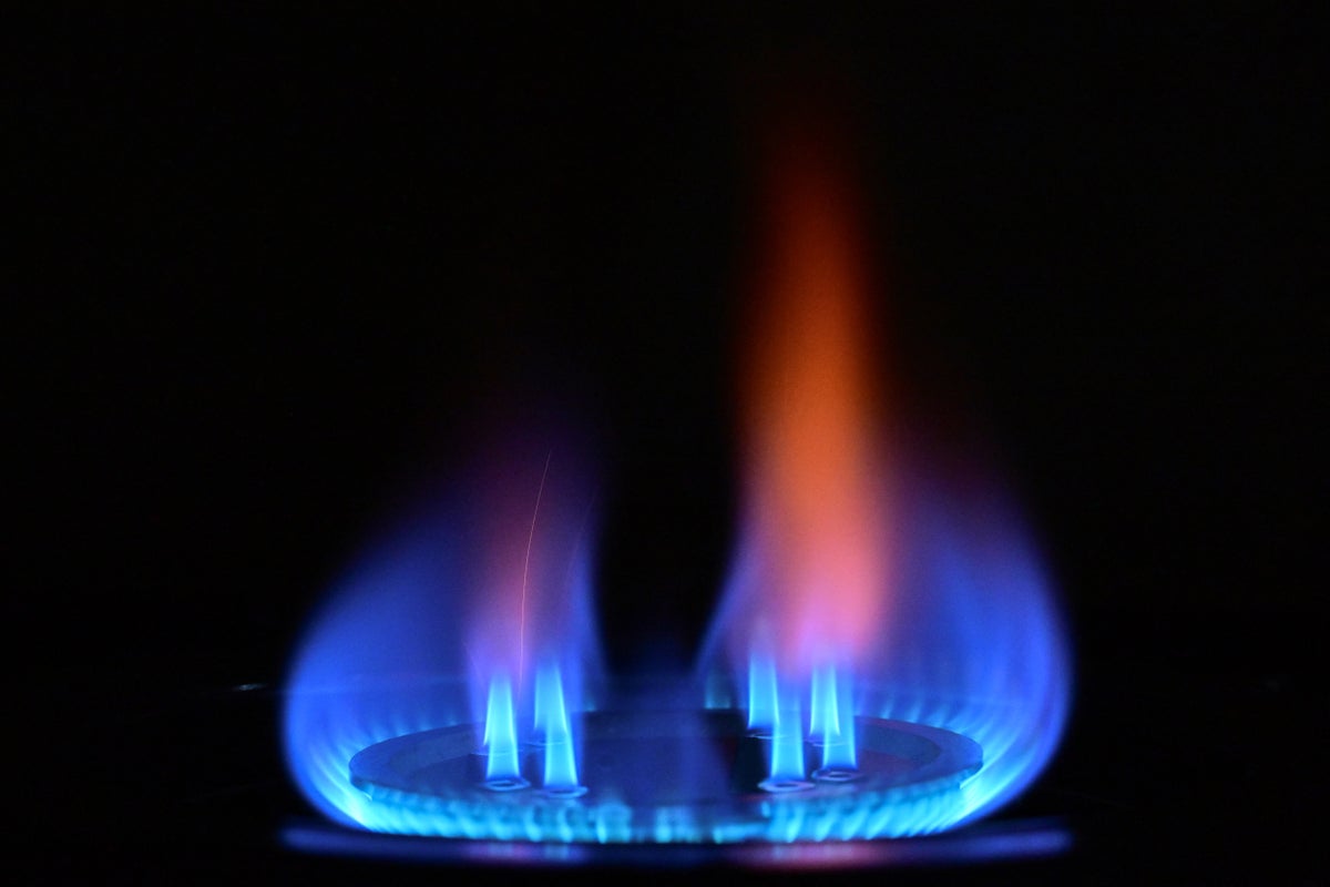 Warning millions of UK households missing out on energy bill