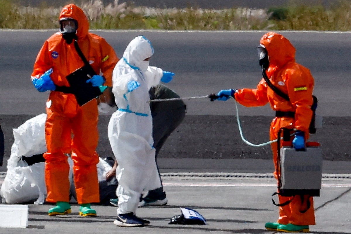 Hantavirus ‘stable for now,’ WHO leader says – UK Times