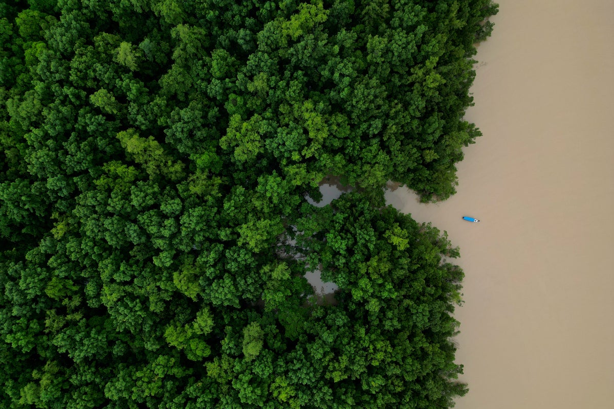 Brazilian government commits $617.5M to Amazon ecological investment
