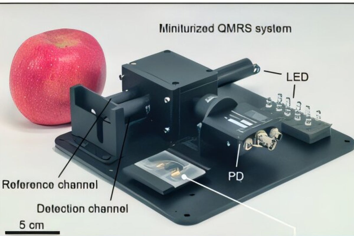Chinese scientists build hand-held device to detect early cancer signs from drop of blood
