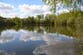Body of teenage boy found after he went missing while swimming in lake