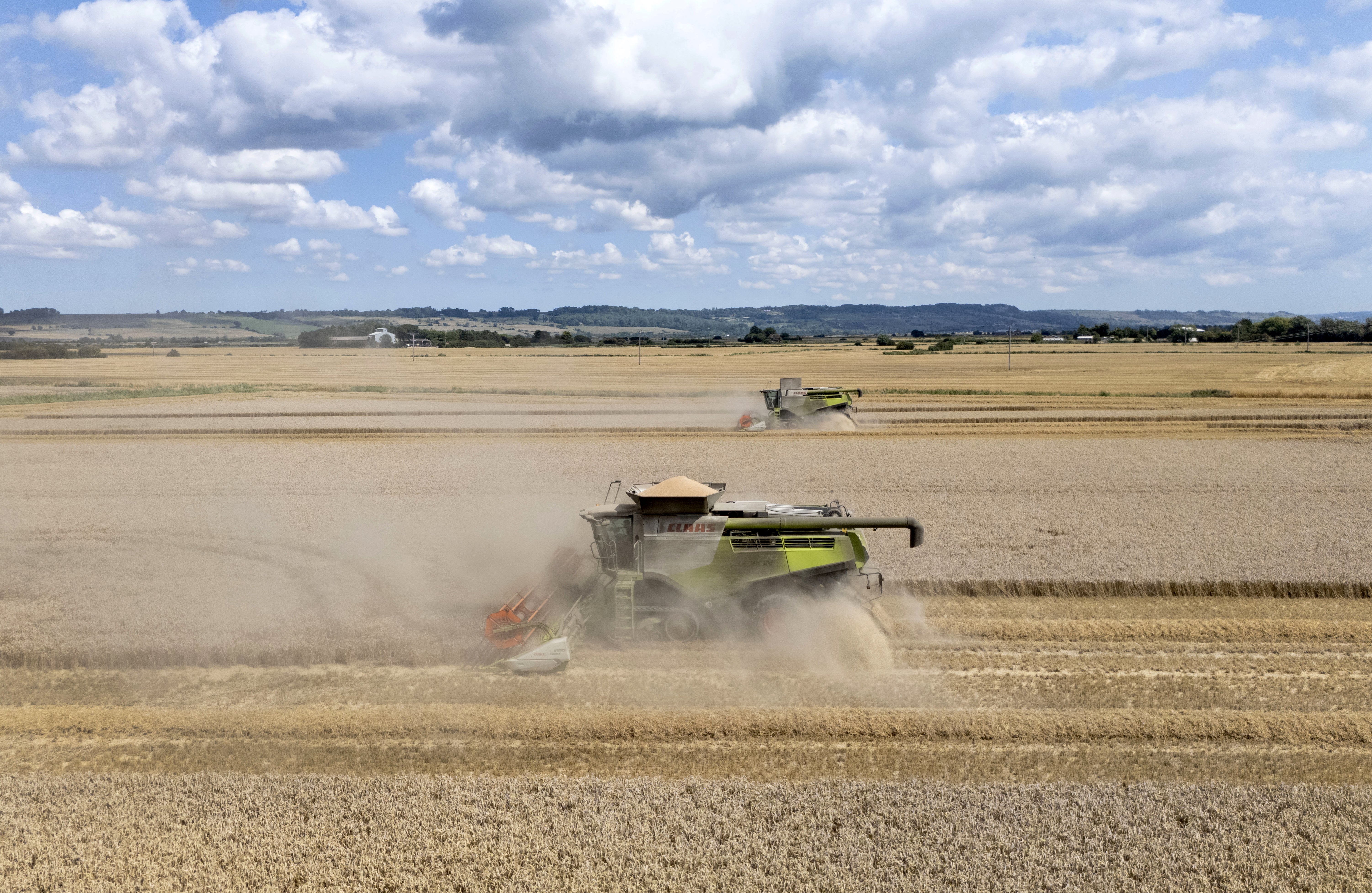 Calls have been made for greater food resilience (Gareth Fuller/PA) (PA Archive)